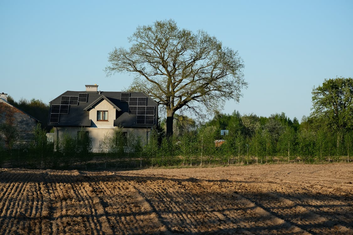 Energijos kaupikliai Lietuvos ūkiuose: nuo melžimo aparatų iki šiltnamių šildymo