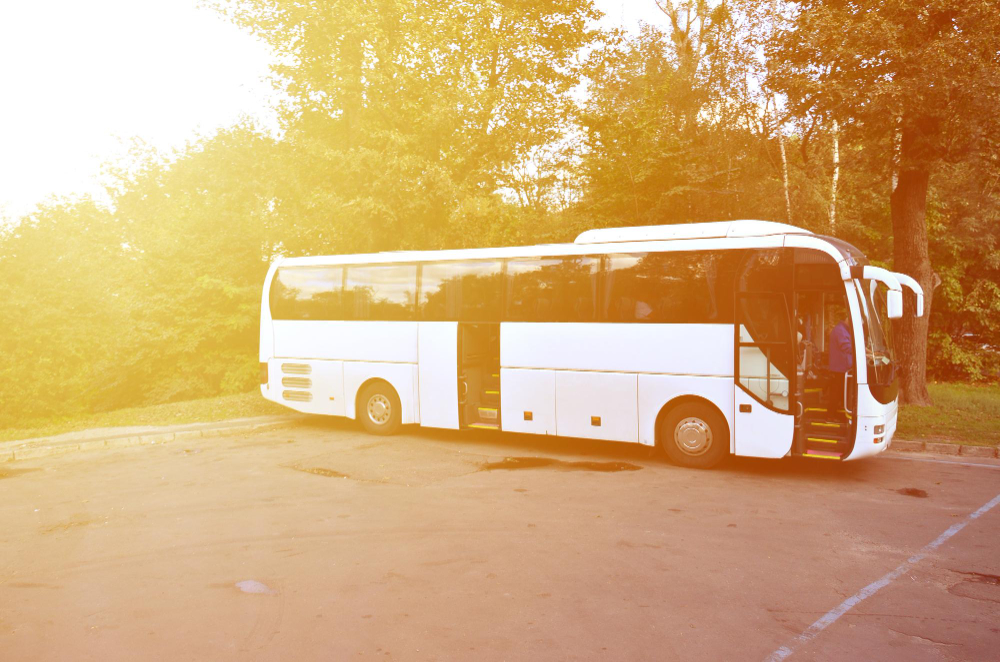 Maršrutinis taksi M31