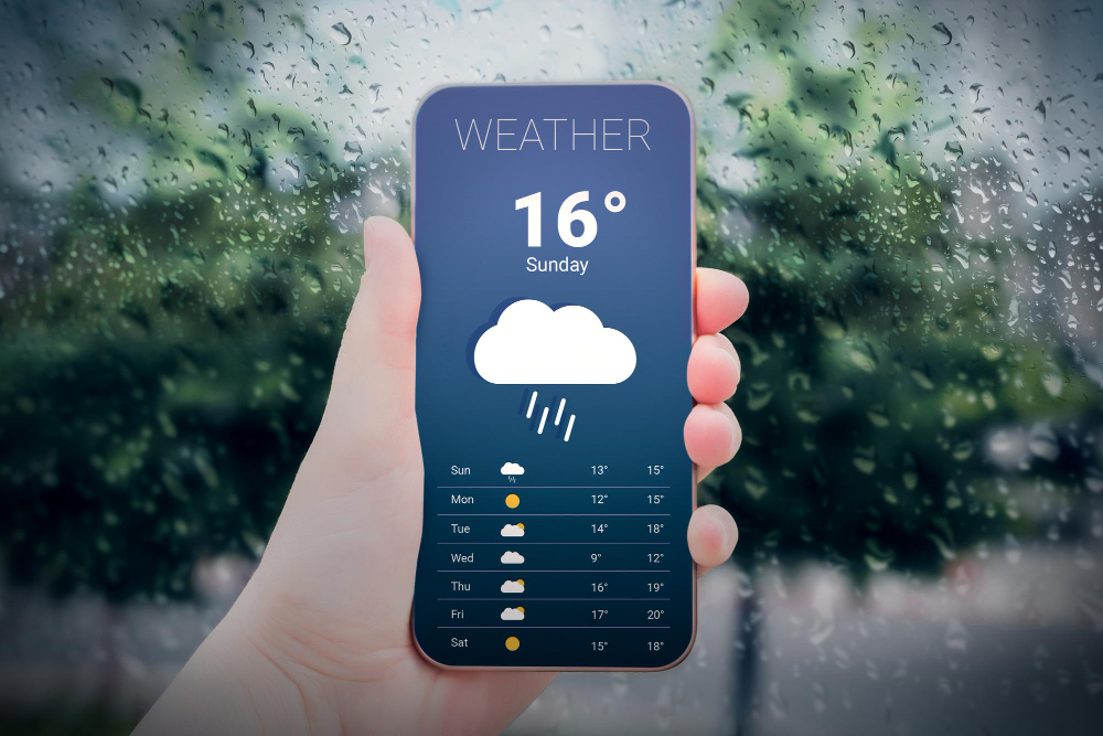 „Meteo“ Palangos prognozės analizė