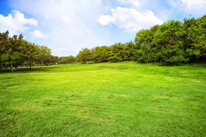 Kiek kainuoja išlaikyti sodo traktoriuką Lietuvoje?