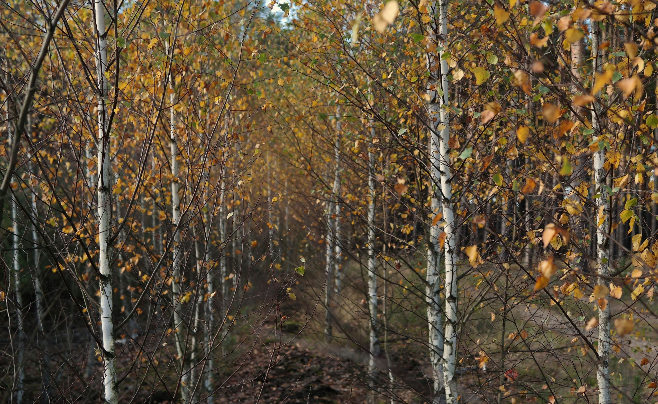 Vilnius laisvalaikiui: kaip iš naujo atrasti miestą su skaitmeniniais gidais